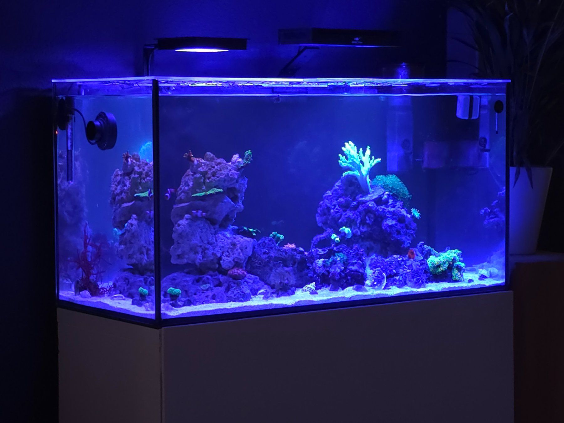 Lampade: Aquarium LED Spectra Aqua Knight 36W – Usato da Jens venduto da tra_da87 3