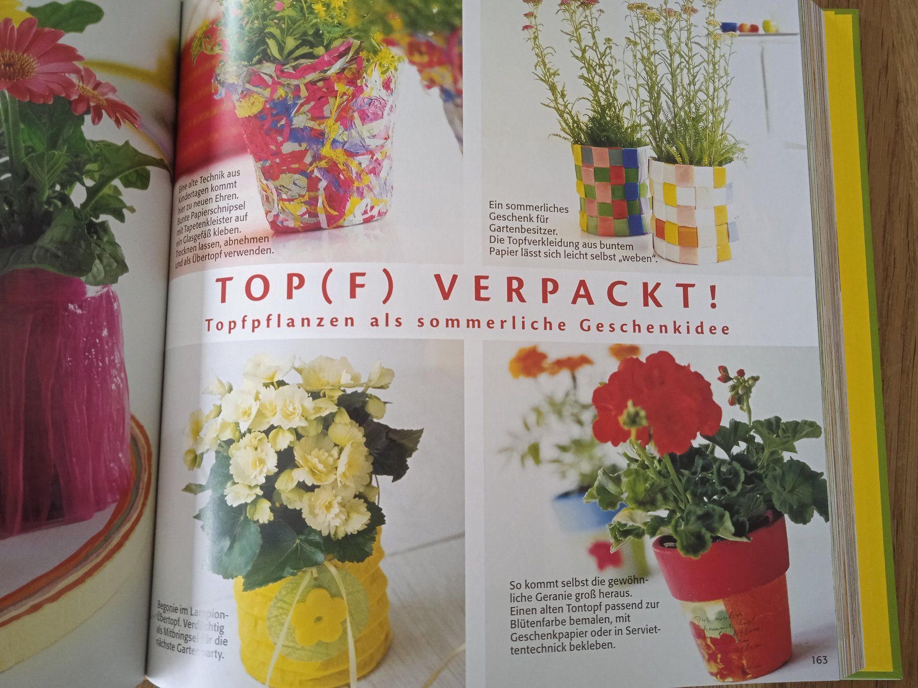 Libri: 777 Dekoideen mit Blumen & Pflanzen – Usato da Rothrist venduto da MaSa82 2