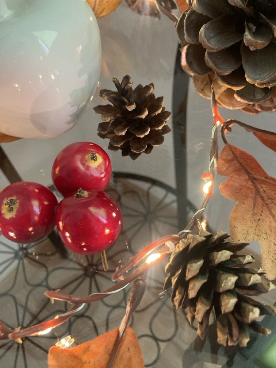 Tutte le decorazioni: Herbst-Deko-Set – Usato da Selzach venduto da SB09 1