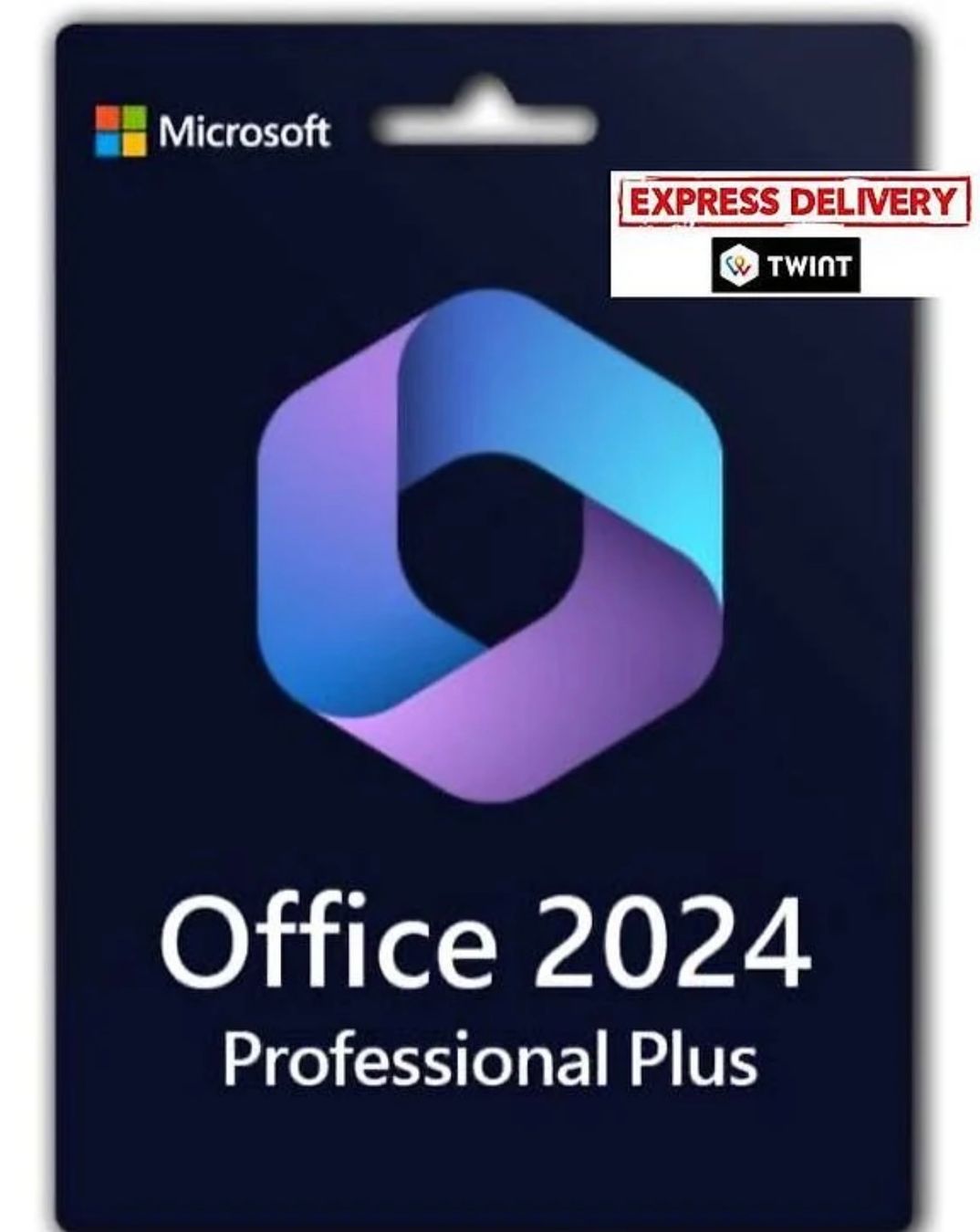 Software: Office 2024 Professional Plus 3PC - Garantie – Usato da Reconvilier venduto da Vizioteck