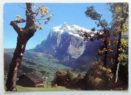 Grindelwald, Wetterhorn