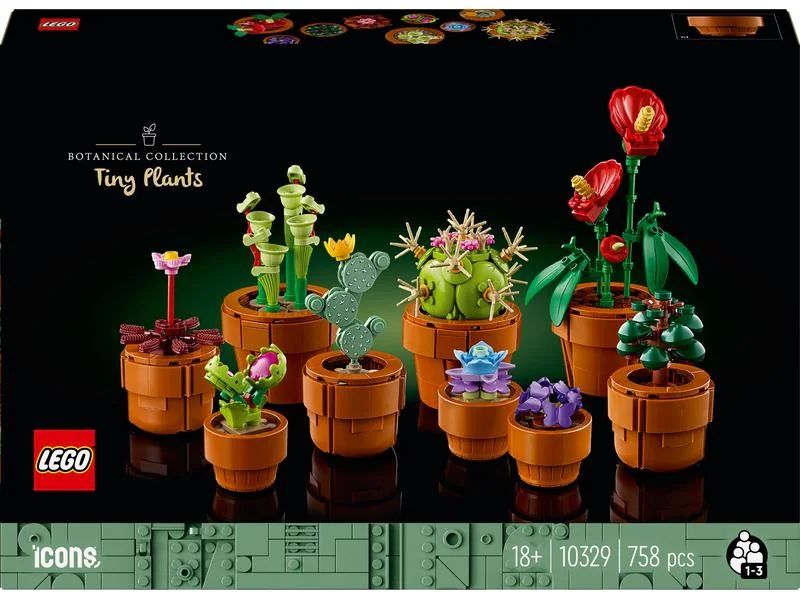 Lego Jouets: Lego Icons/Botanical – D'occasion à Bremgarten b. Bern par Rooney3047 2