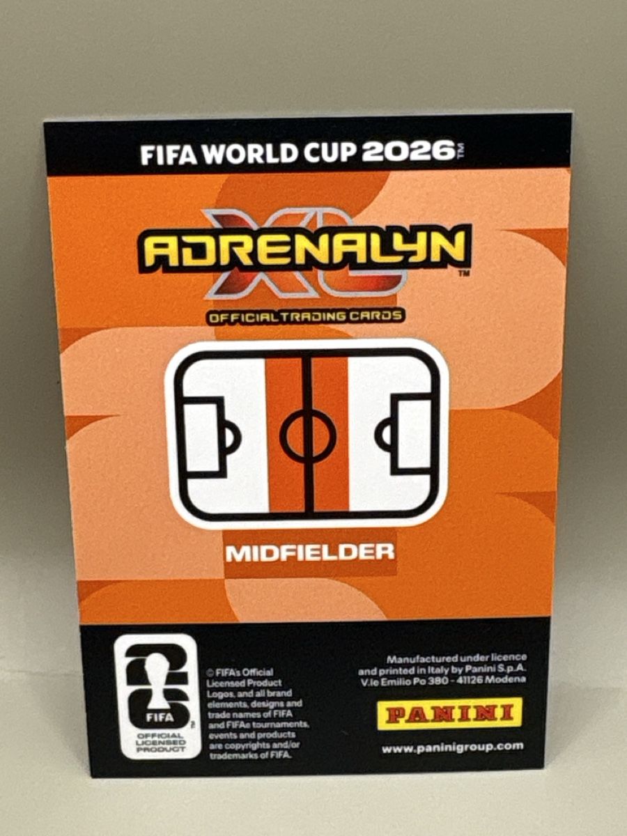 Panini Carte collezionabili: Panini Adrenalyn XL - 537 – Nuovo (secondo la descrizione) da Oberbuchsiten venduto da Bananefrappe93 1
