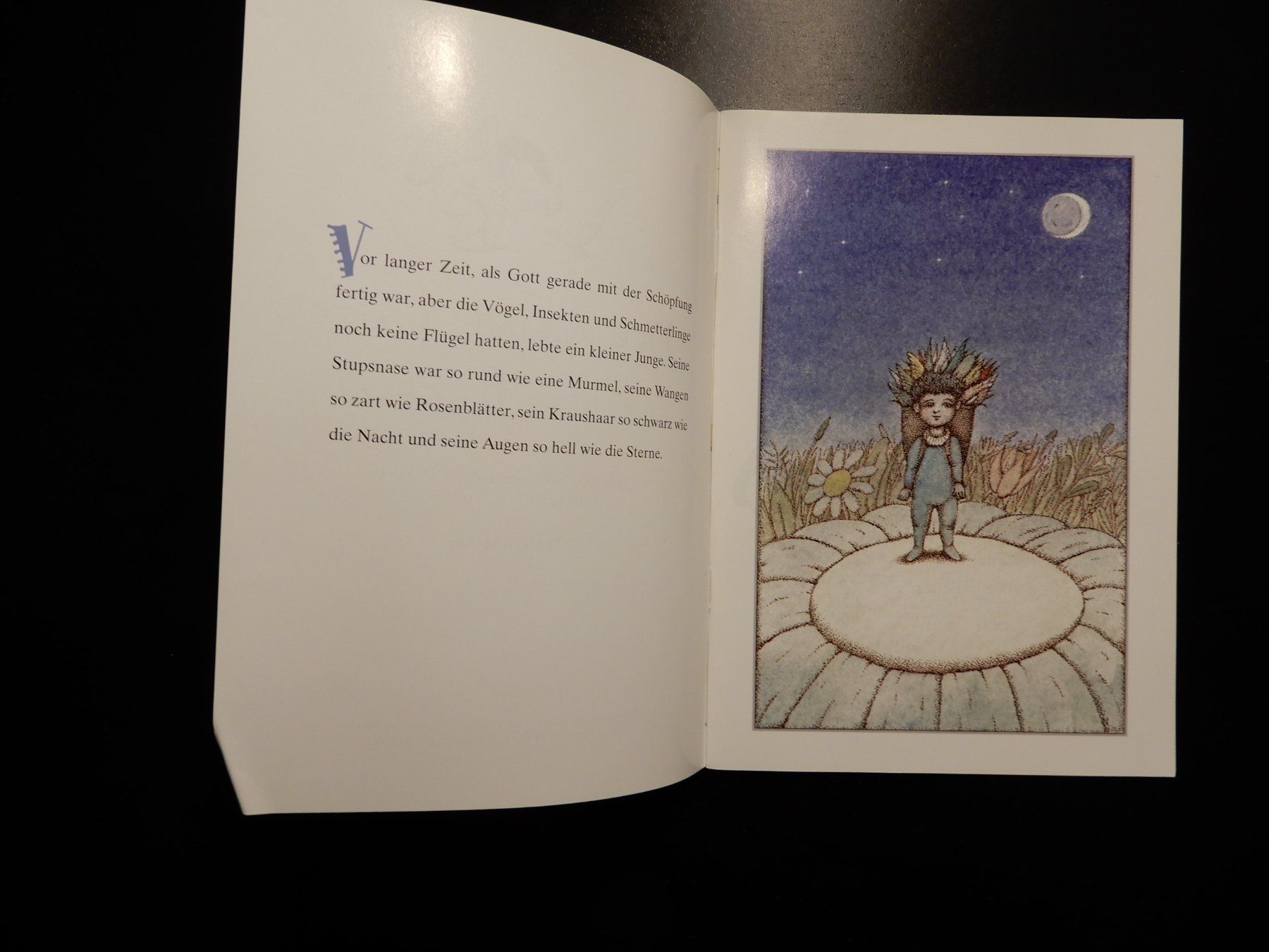 Libri: Der kleine Junge mit den Flügeln - Buch – Usato da Erstfeld venduto da Mario_boe0 2
