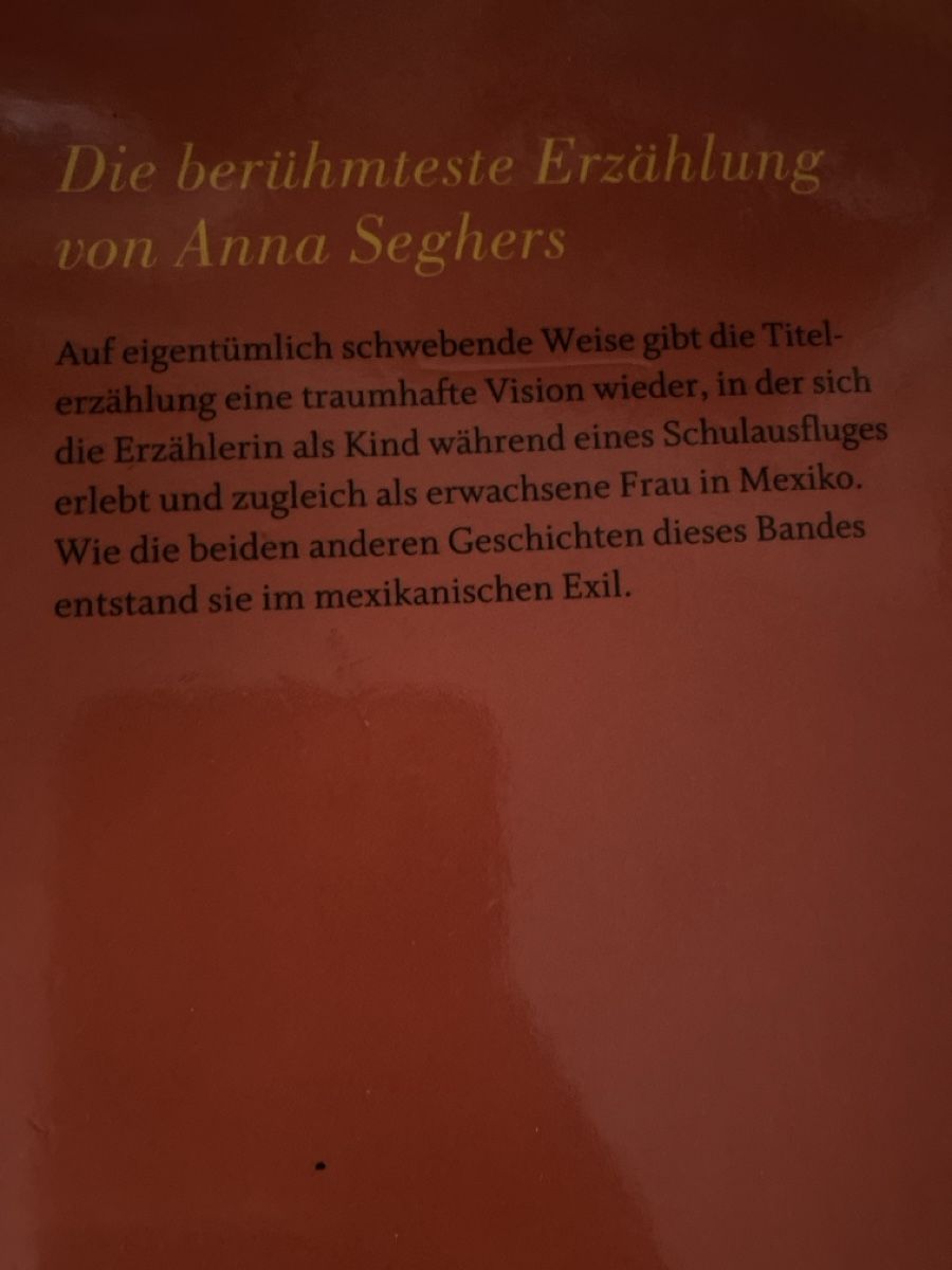 Libri: Buch - Der Ausflug der toten Mädchen – Usato da Oberengstringen venduto da yae_r67h 1