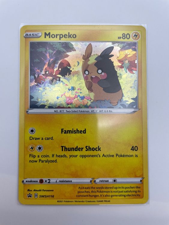 Pokémon Black Star Promos Morpeko 1