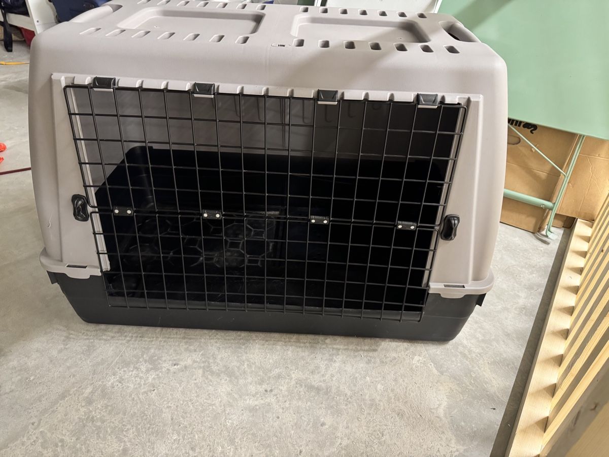 Gabbie, trasporto & Sicurezza: Grosse, stabile Transportbox für Hunde oder Katzen – Usato da Zürich venduto da ann_5jfx