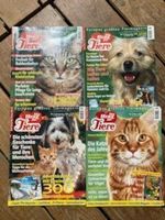 4 heftli: ein herz für tiere