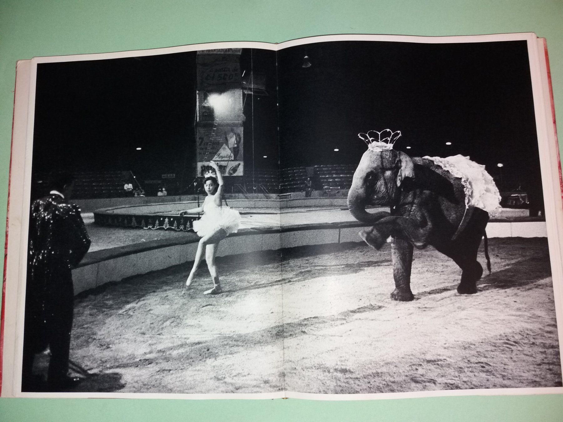 Bücher: IZIS cirque FOTOKLASSIKER Chagall Prevert – Gebraucht aus Welschenrohr von Regool 6