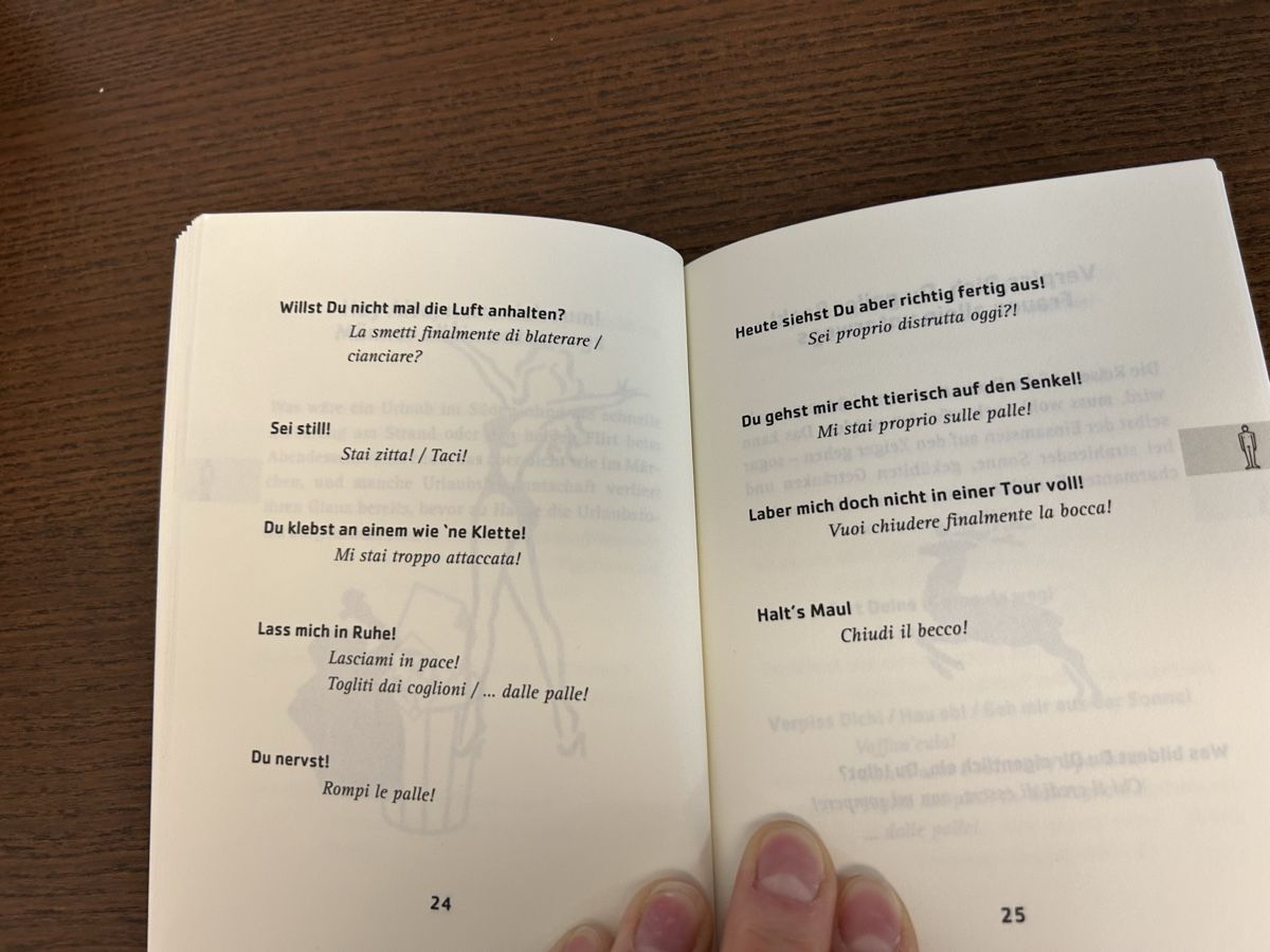 Livres: Italienisch schimpfen – Neuf (Voir description) à Hombrechtikon par Etagere92 2