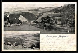 AK Trubschachen, Gasthof Blapbach mit weidenden Kühen