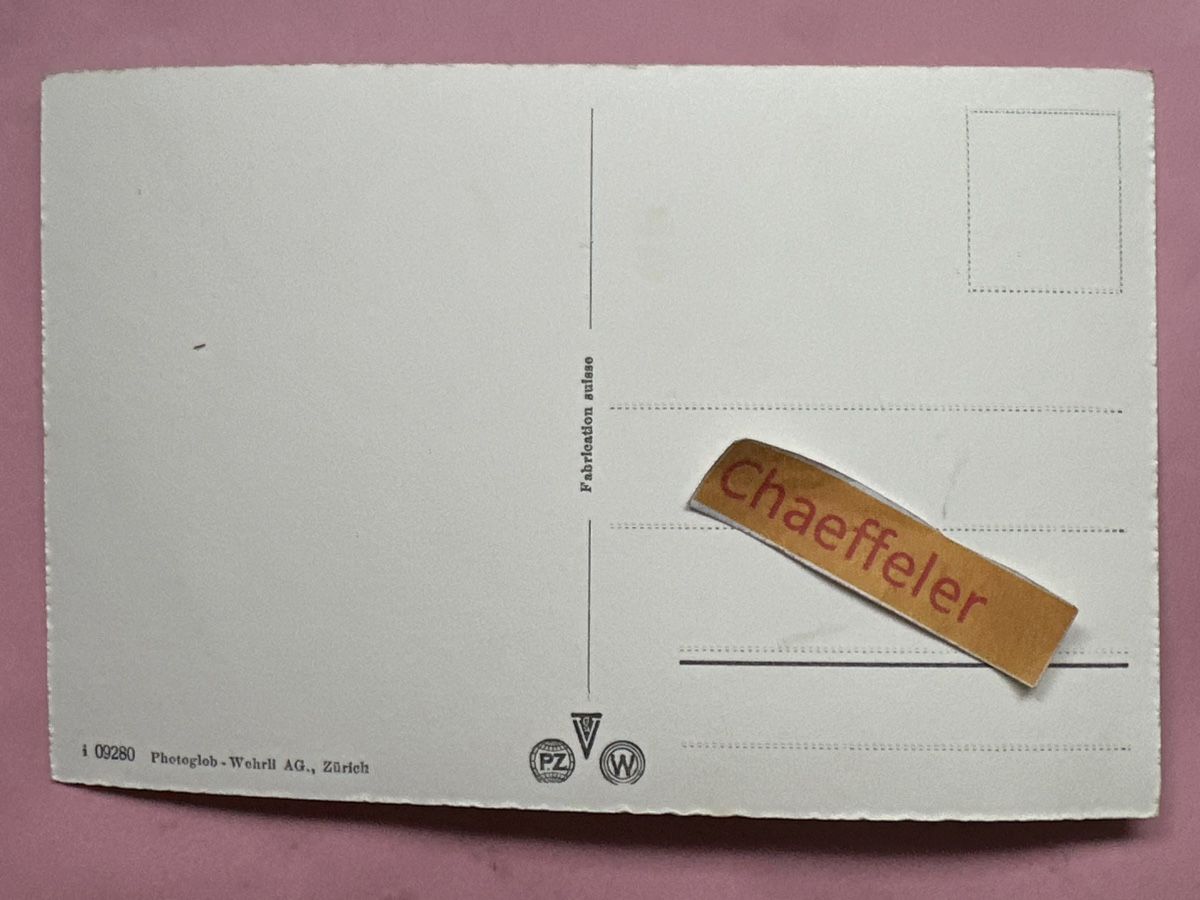 Ansichtskarten: Axenstein. Park-Hotel  – Gebraucht aus Zürich von Chaeffeler 1