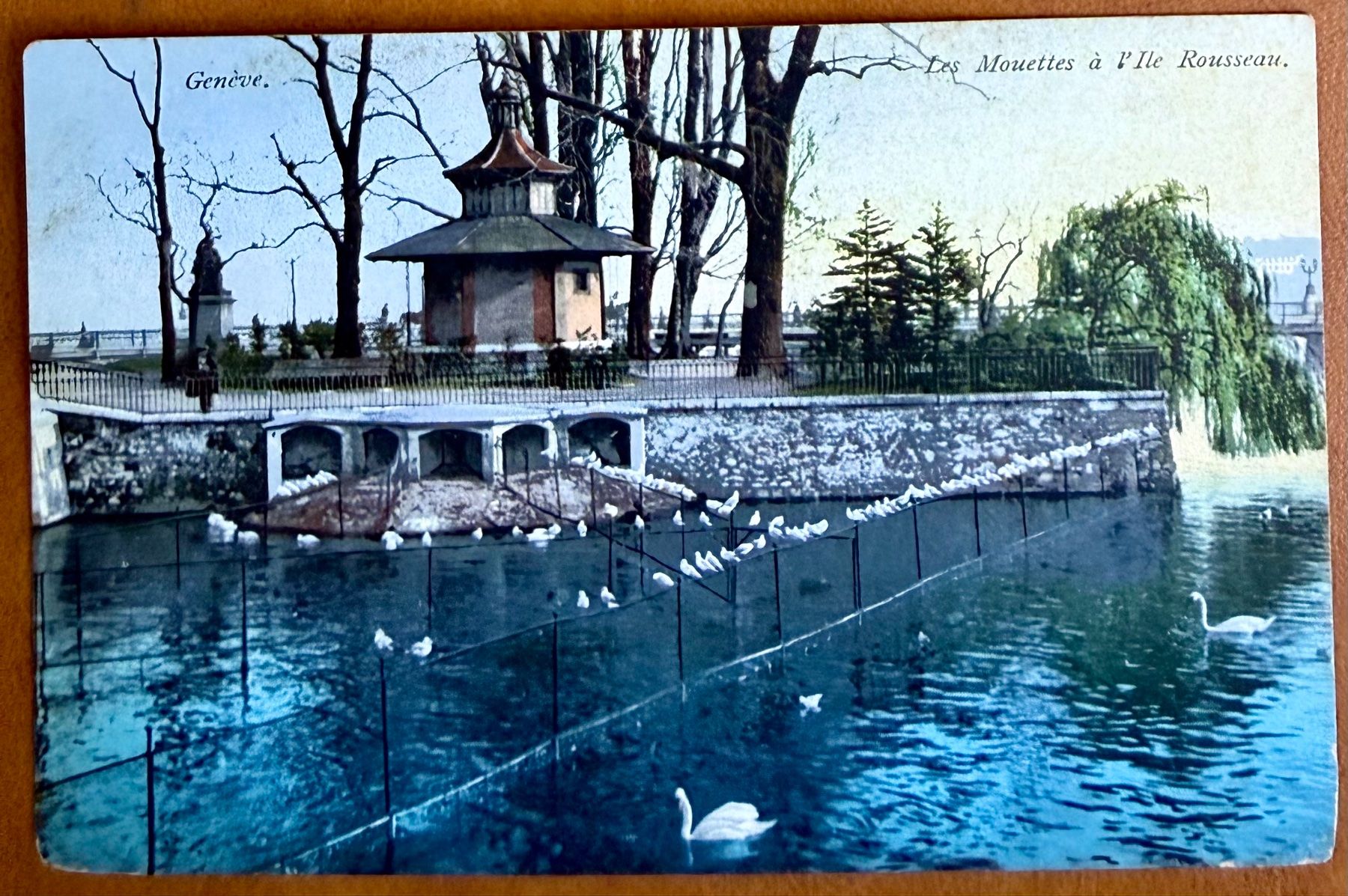 Cartes postales: Genève - Mouettes sur l' Ile Rousseau – D'occasion à Lutry par Ediego