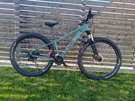 Cube Mountainbike , guter Zustand , perfekt für den  Sommer