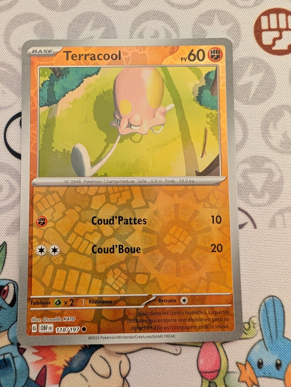 Pokémon Carte collezionabili: Pokémon FR Terracool reverse Flammes Obsidiennes (OBF) – Nuovo (secondo la descrizione) da Thônex venduto da Janadel