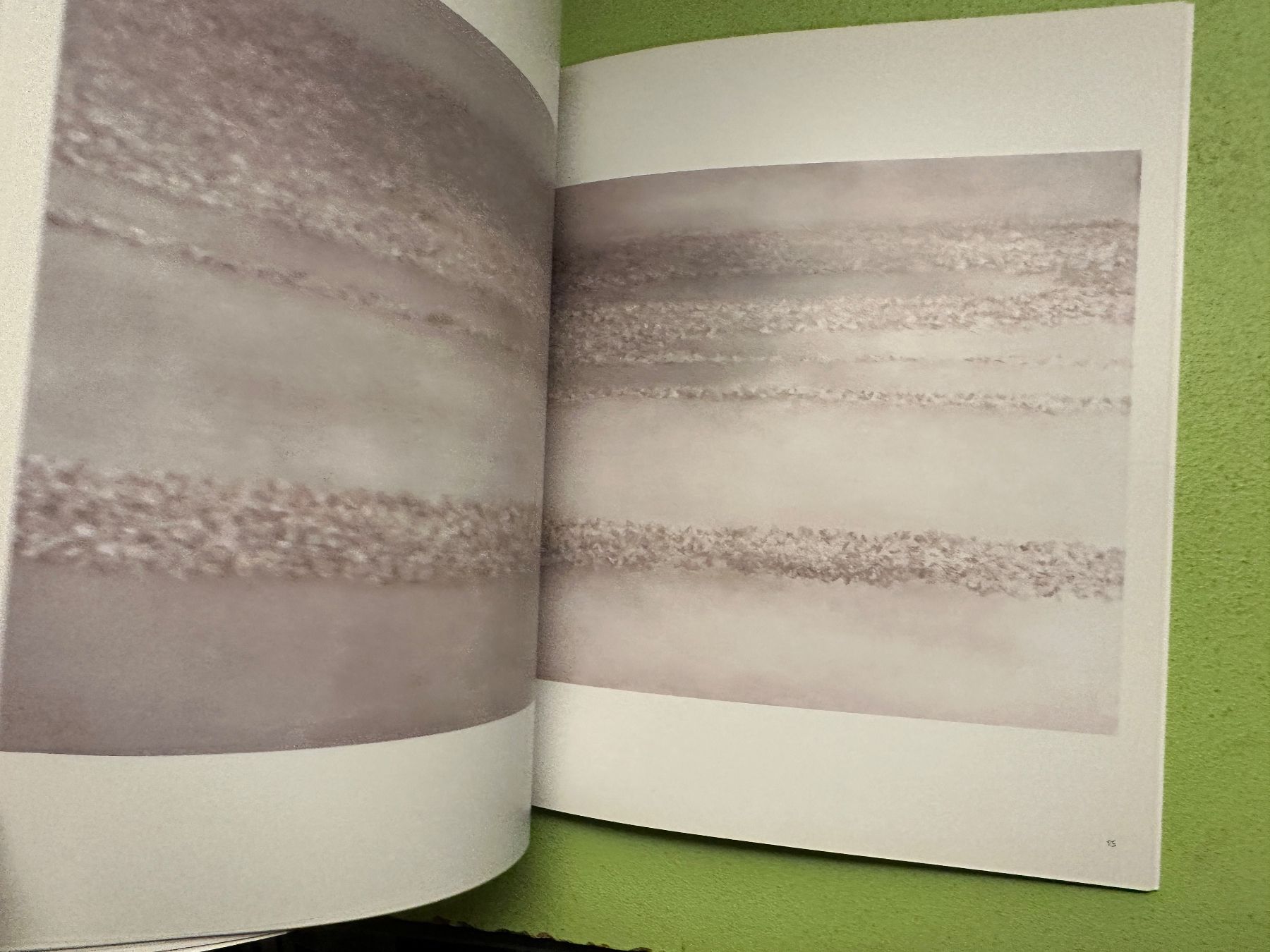 Libri: Angela Lyn: blossom blossom. – Usato da Zürich venduto da allp 4