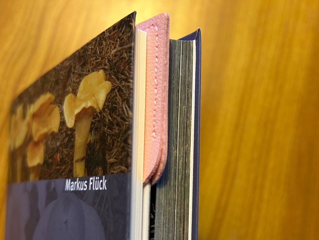Altre raccolte & rarità: Buchzeichen Lesezeichen Buch Herz Kunstleder – Nuovo (secondo la descrizione) da Steffisburg venduto da smocky17 2