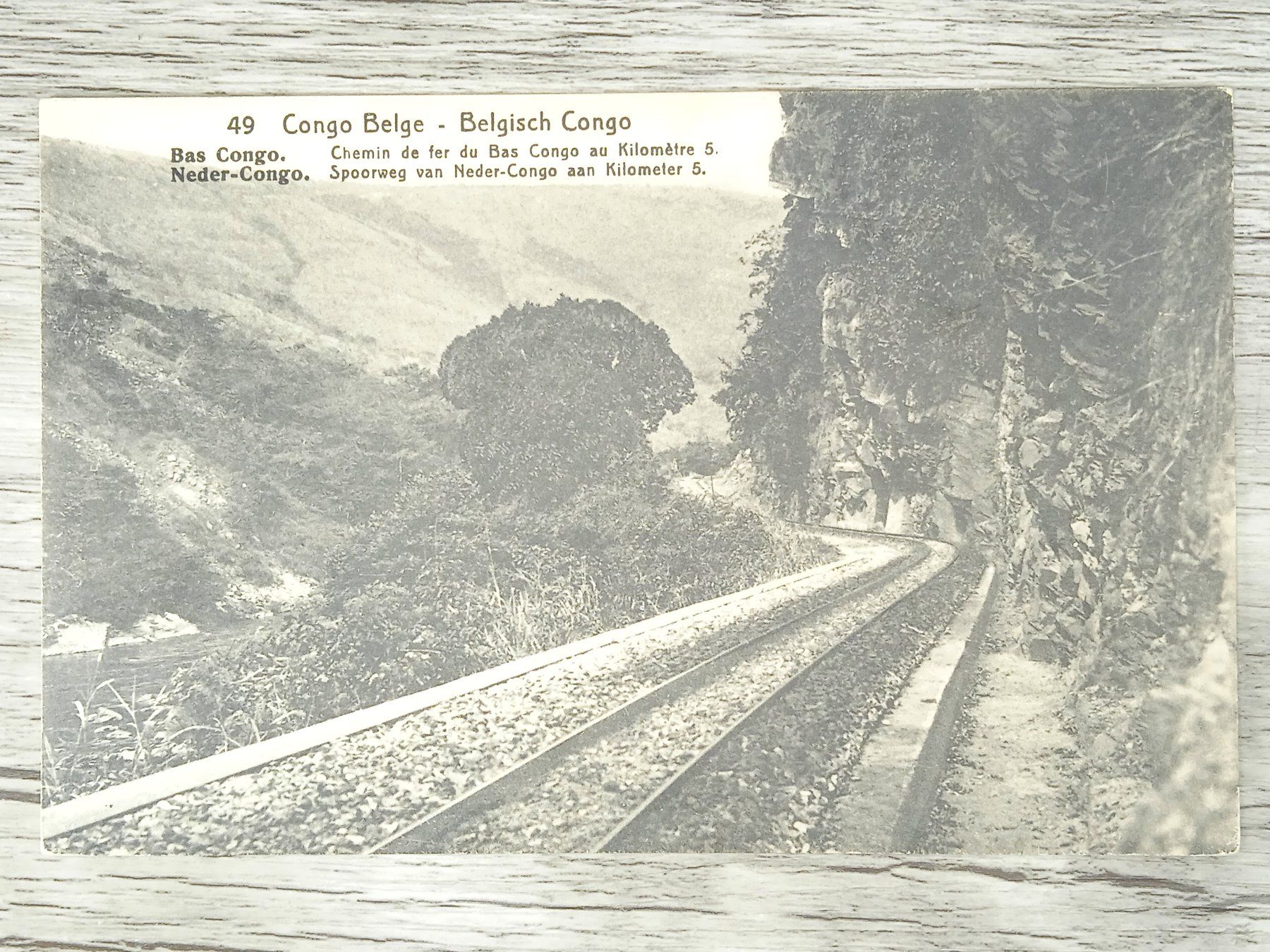 Tutti i francobolli: TR04 Carte Postale + Timbre Congo-Belge 1919/21 – Usato da Cousset venduto da Patrick_Collections