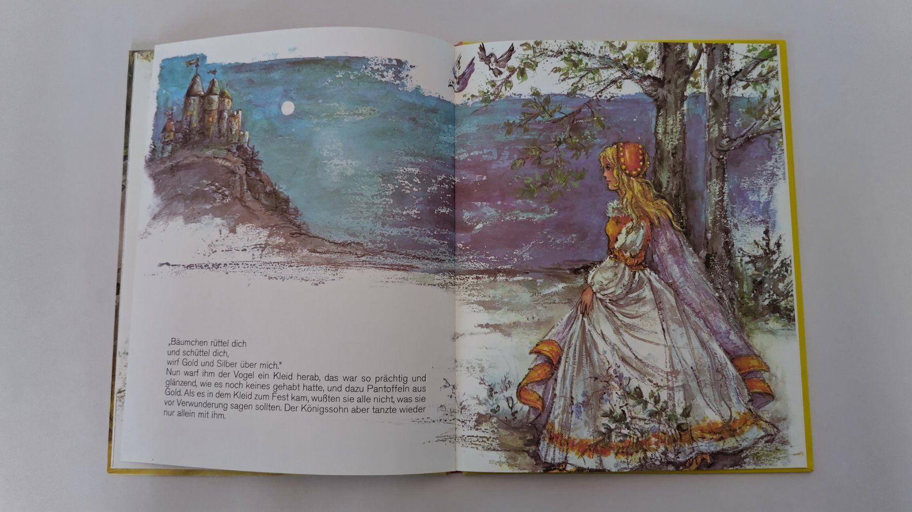 Bücher: Aschenputtel - Bilderbuch von Lore Hummel ab Fr. 8.- – Gebraucht aus Bellach von JingleJerry 5