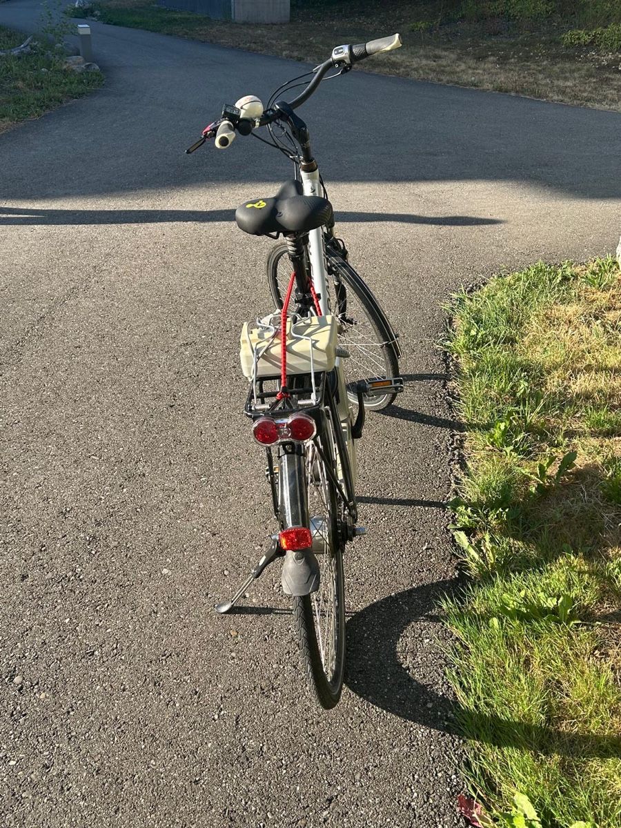 Flyer Vélos: E-Bike Flyer – D'occasion à Aarau Rohr par ash_m7hq 6