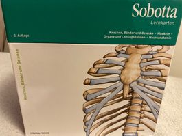 Sobotta Lernkarten Anatomie, 2. Auflage, Top Zustand!