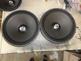 2 gemini 15" Bass 8 Ohm 150 - 600 Watt 96 dB belüftet Woofer