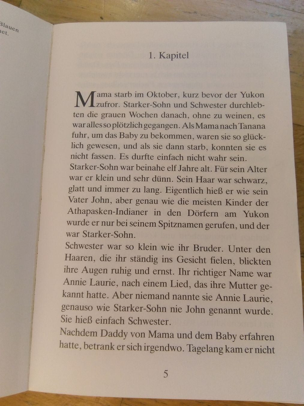 Libri: Kirkpatrick Hill: Indianerwinter + Starker-Sohn & Schwester – Usato da St.Gallen venduto da elk2022 4