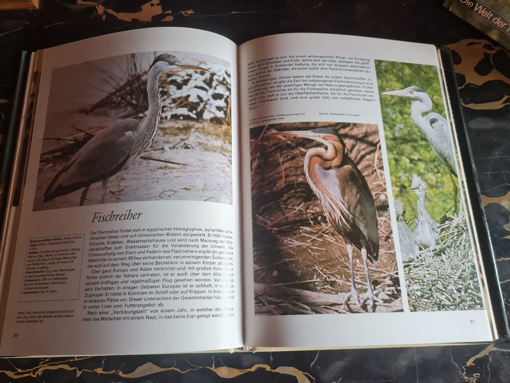 Libri: Die Welt der Tiere 4 Bände Herder Tierbücher – Usato da Bäretswil venduto da Rio. 5