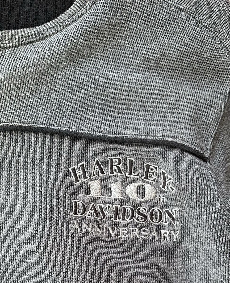 Maglioni & Felpe: Harley-Davidson 110th Anniversary Pullover grau Grösse M – Usato da Landschlacht venduto da KeyWest09 1