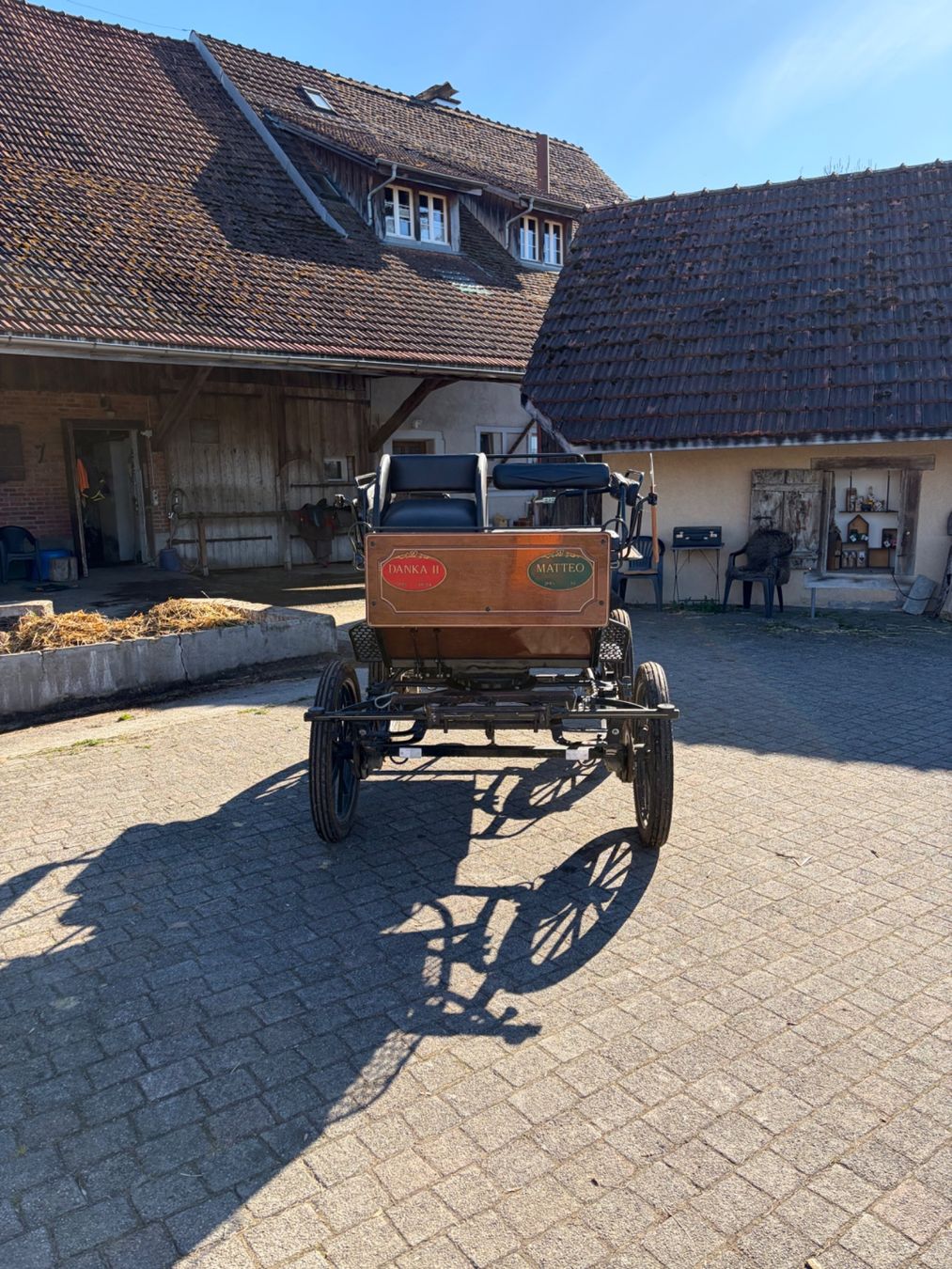 Kutschen: Kutsche und Brustblatt – Gebraucht aus Zürich von bic_dy57 1