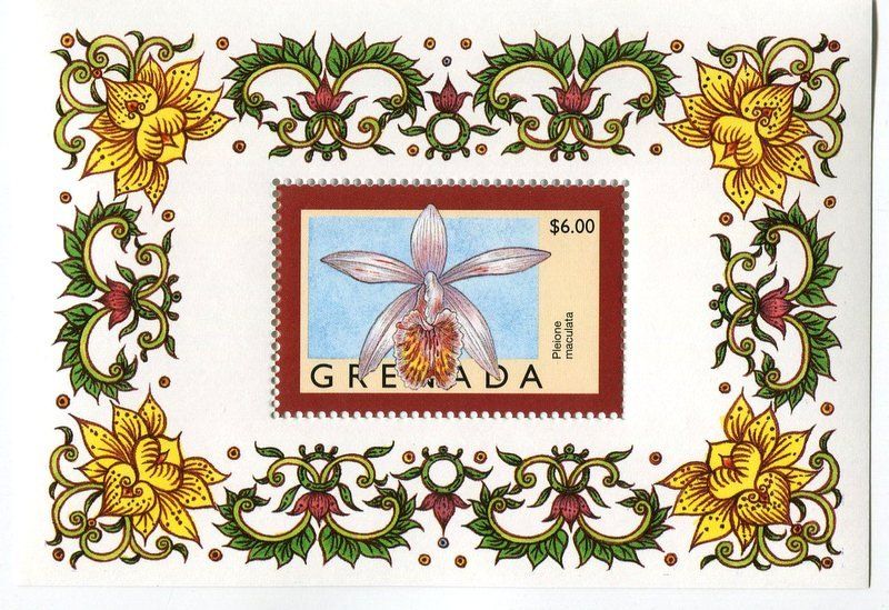 Tutti i francobolli: Block "Orchideen". Grenada – Nuovo e nell'imballaggio originale da Basel venduto da Butsch5