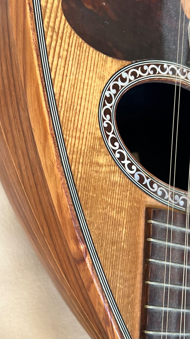 Strumenti musicali: Mandoline Raffaele Calace 1925 – Usato da Luzern venduto da TENDIMO 1