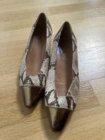 BALLY - Leather Shoes Snake Print Gold Toe Cap