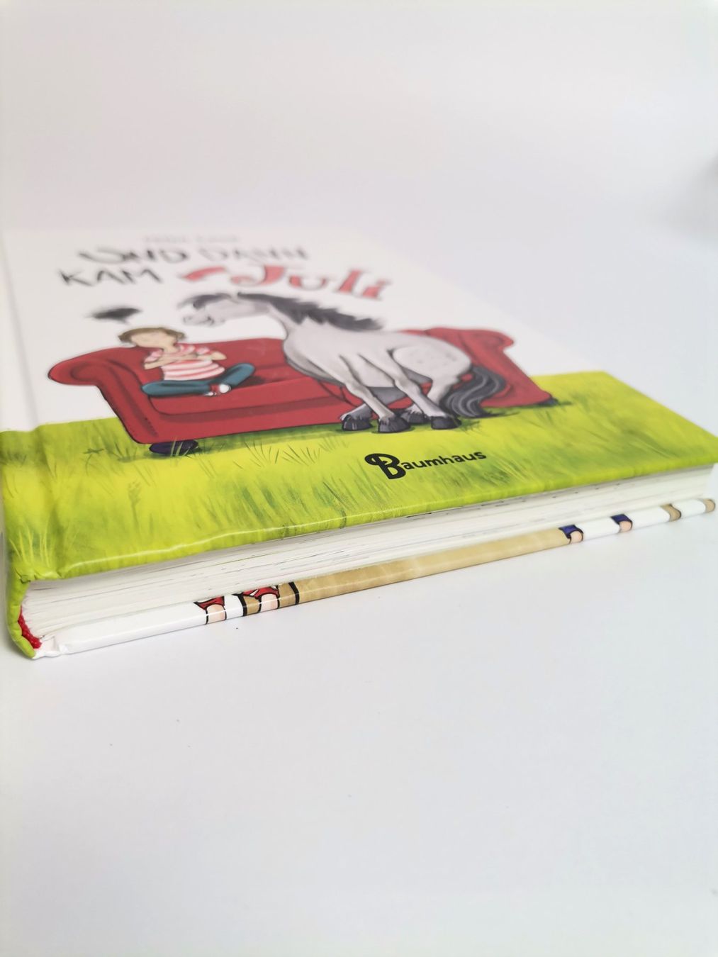 Libri: BUCH Und dann kam Juli – Usato da Schaffhausen venduto da Restwert_SH 3