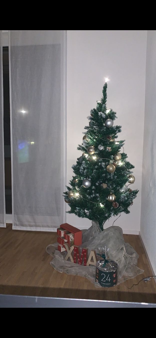 Tutte le decorazioni: Weihnachtsbaum 120cm – Usato da Boll venduto da tes_9qsr 2
