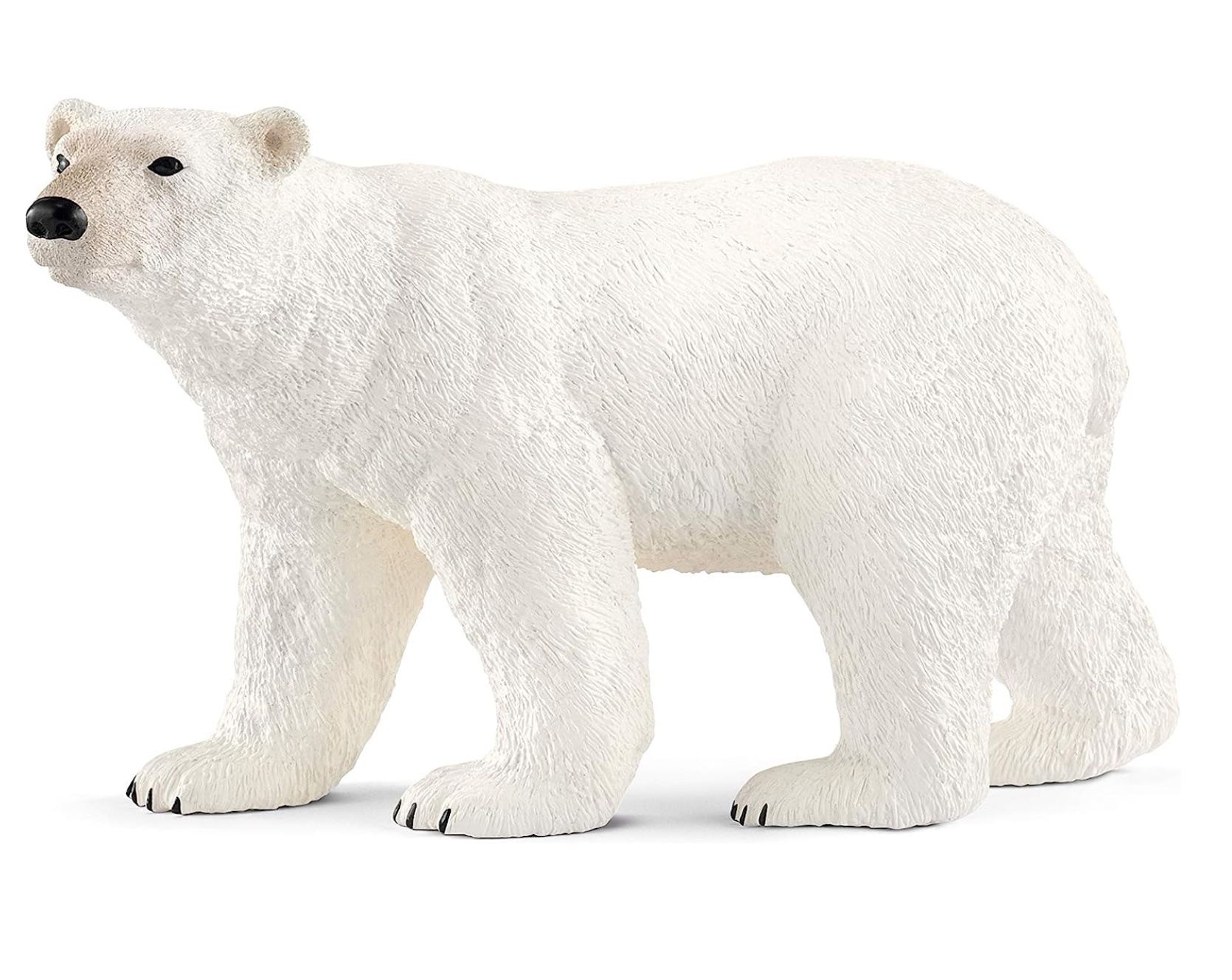 Schleich Giocattoli: Schleich 14800 Polar Bear – Nuovo e nell'imballaggio originale da Wagenhausen venduto da Kahlen
