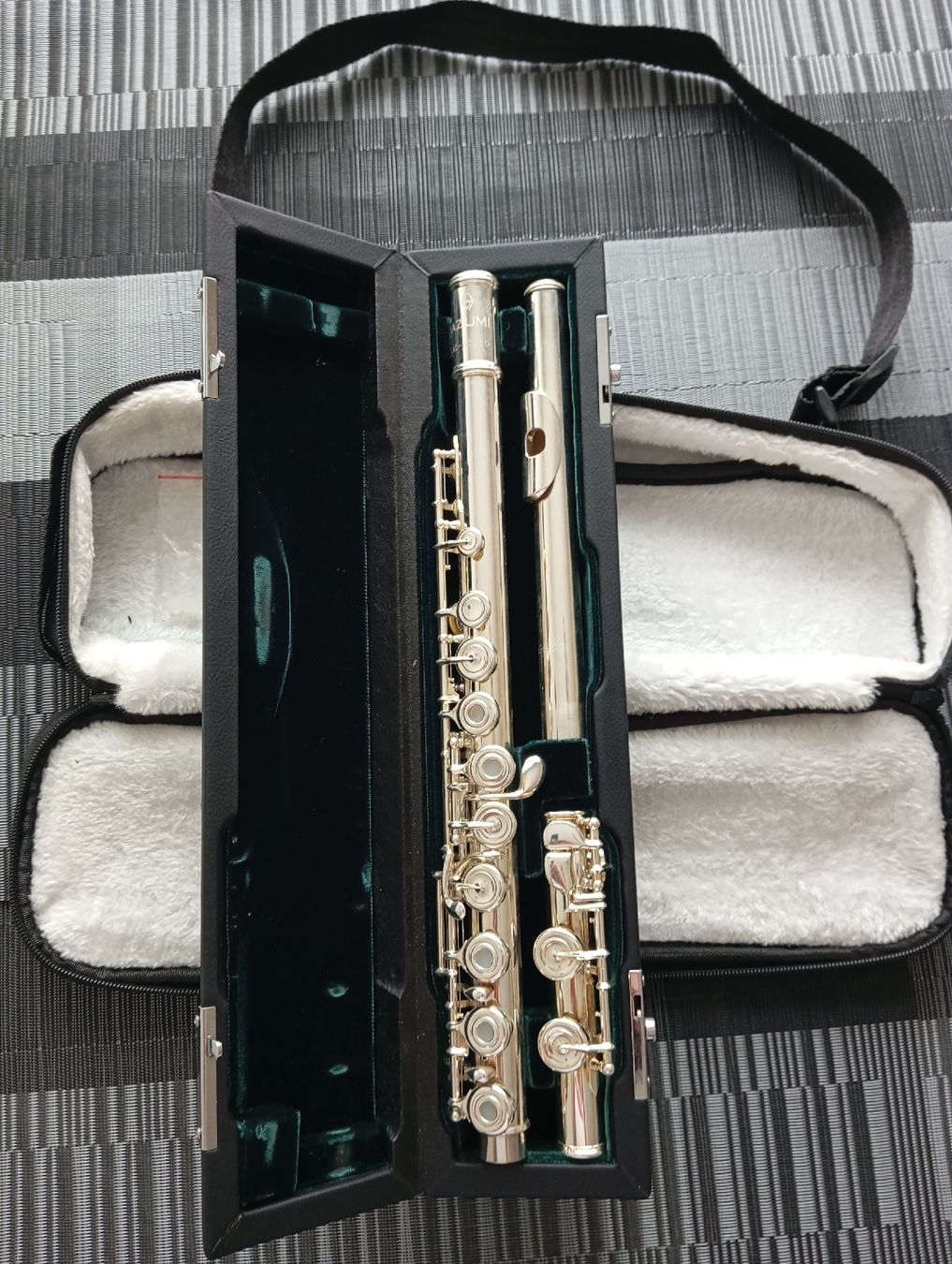 Musikinstrumente: Azumi Z2  – Gebraucht aus Basel von ana_2rrk 2