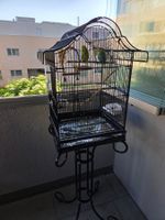 Wellensittiche mit Käfig und Zubehör zu verkaufen