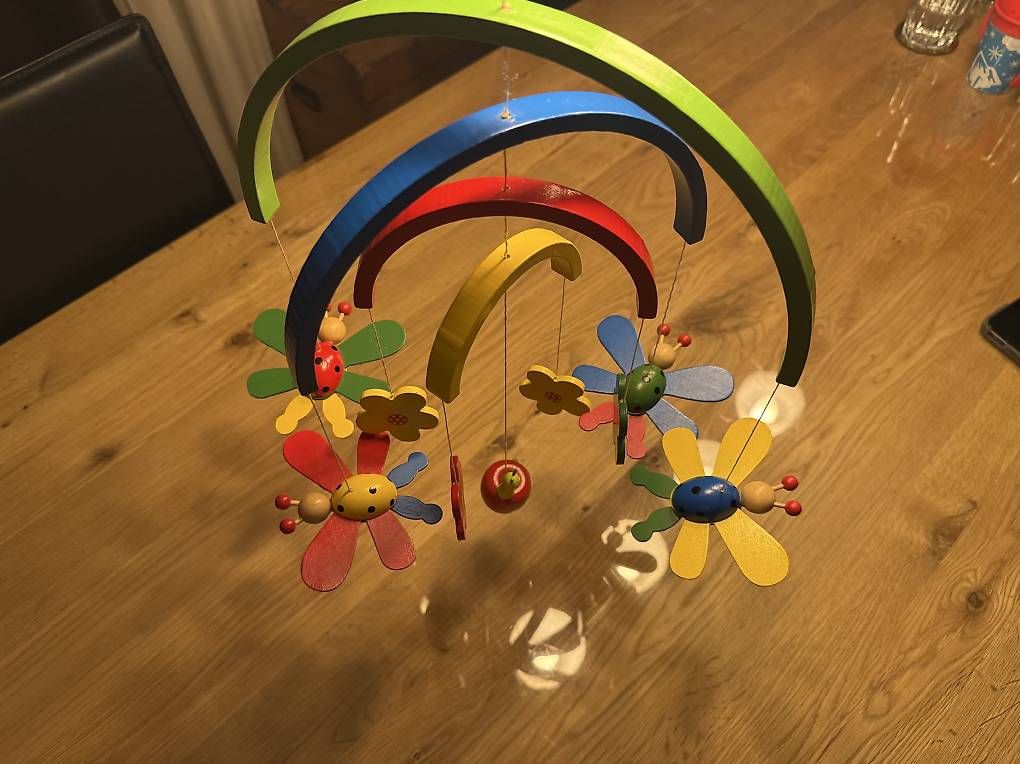 Giocattoli: Buntes Holz-Mobile mit Blumen & Marienkäfern – Usato da Schwarzenburg venduto da Conners2 3