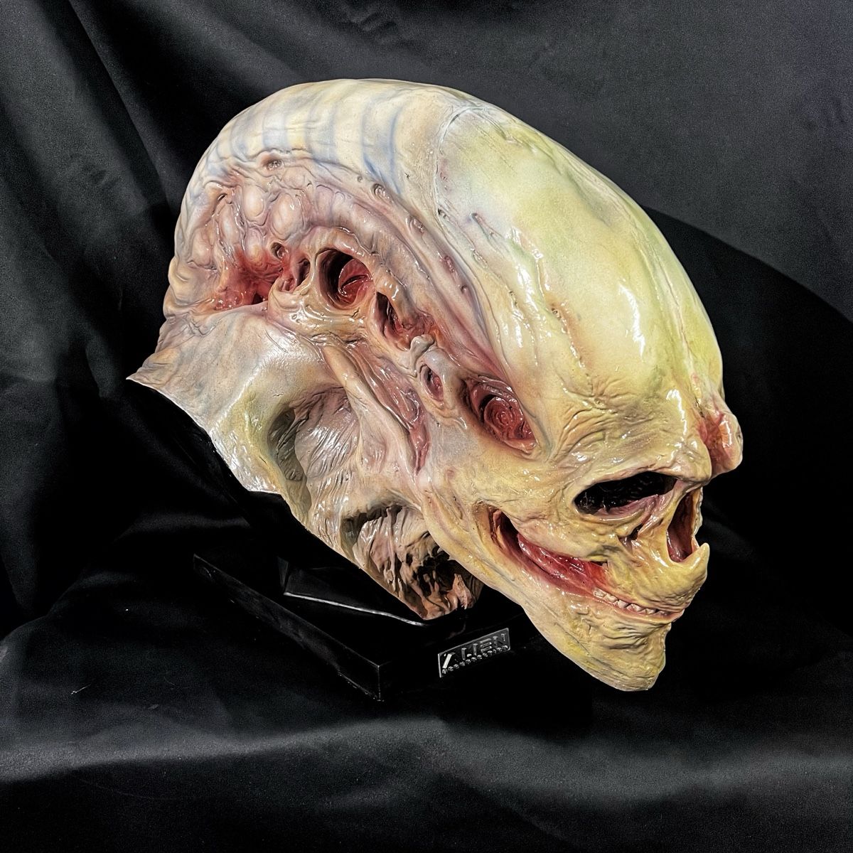 Statuette: 1:1 ALIEN Resurrection Büste, wie Coolprops Sideshow – Nuovo (secondo la descrizione) da Glattfelden venduto da Ak_5bL