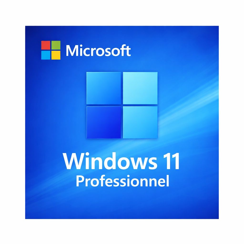 Microsoft Software: Windows 11 Pro - 1 clé – Usato da Saignelégier venduto da KNM