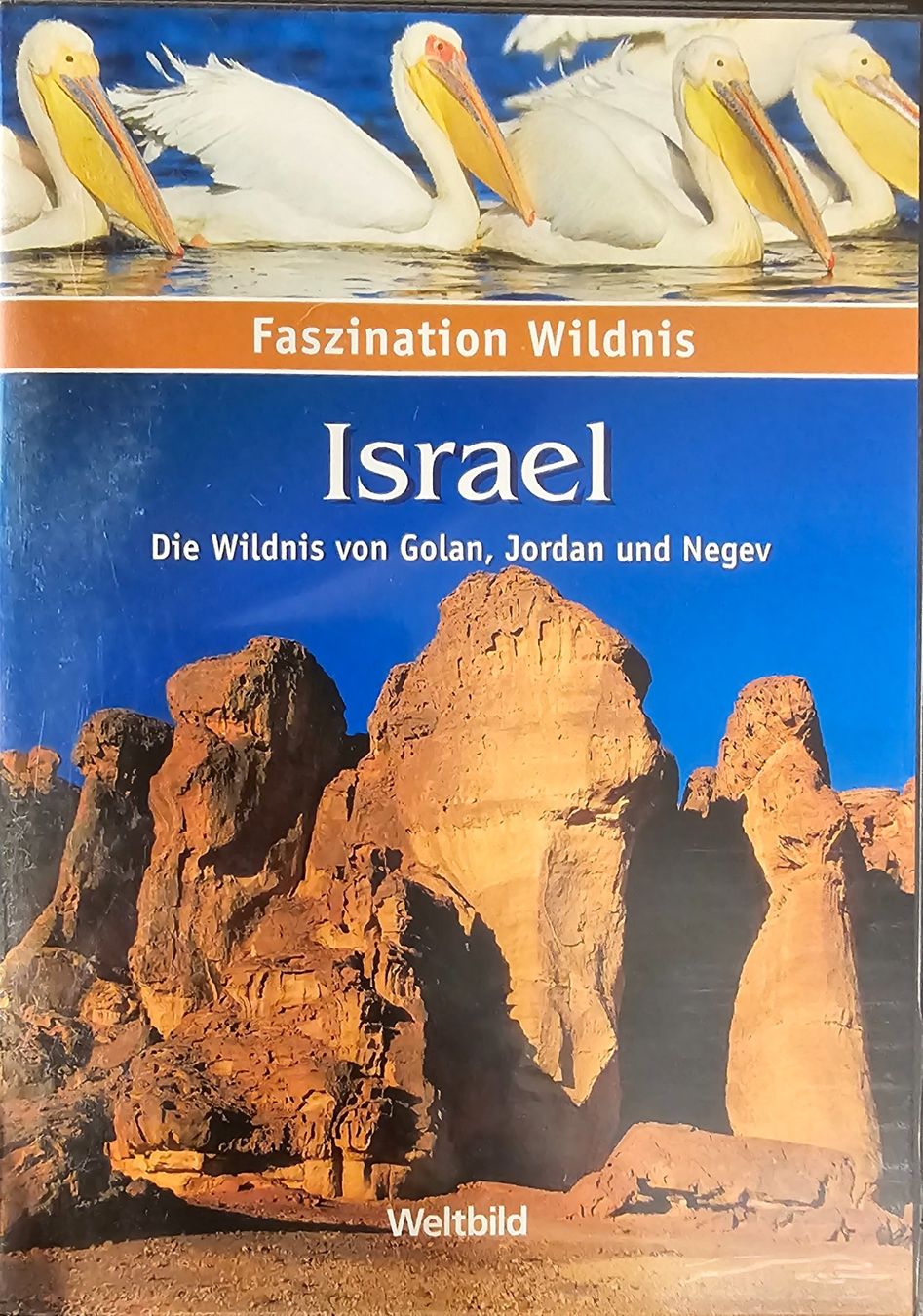 Tutti i DVDs: Faszination Wildnis - Israel – Usato da Wahlen b. Laufen venduto da Cg10