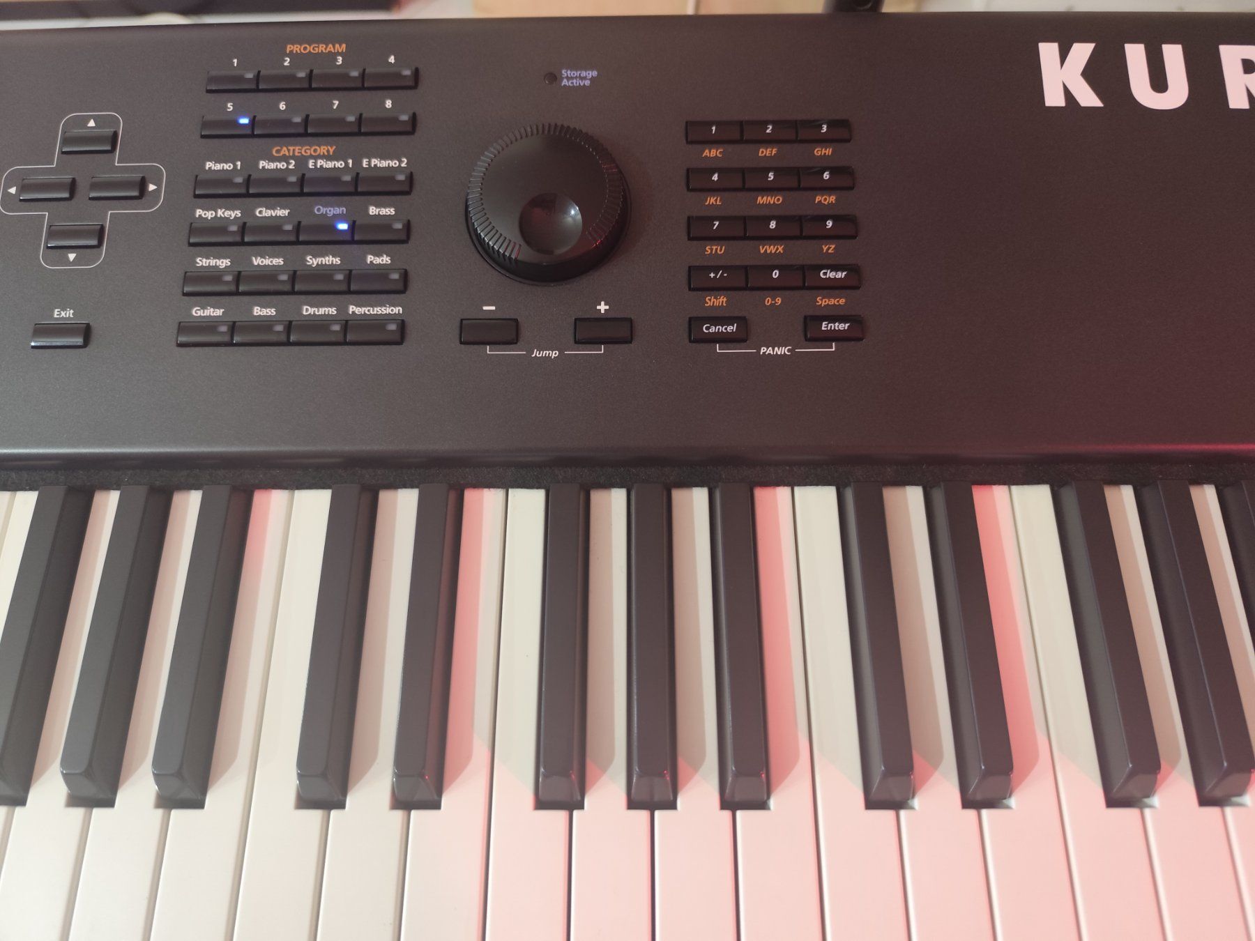 Strumenti musicali: Synthesizer Workstation Kurzweil PC3 K8 – Usato da Opfikon venduto da cuti2000 5