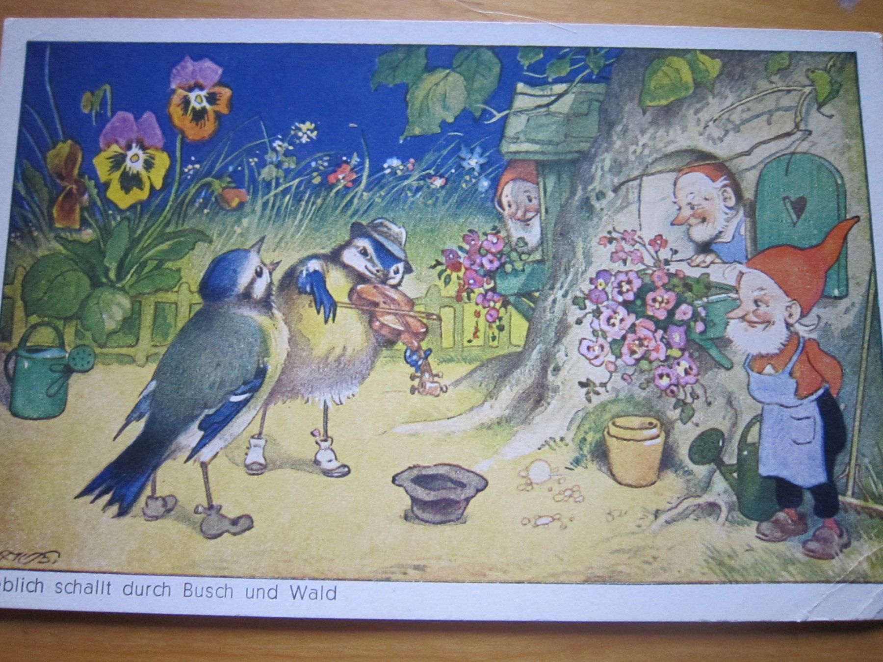 Cartes postales: No 17 schöne Postkarten Katzen – D'occasion à Gordola par Polentaefung 1