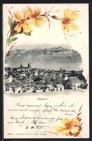 Lausanne, Ortsansicht mit Bergpanorama
