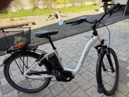Flyer E-Bike Top Zustand, wenig gebraucht, ideal für Pendler