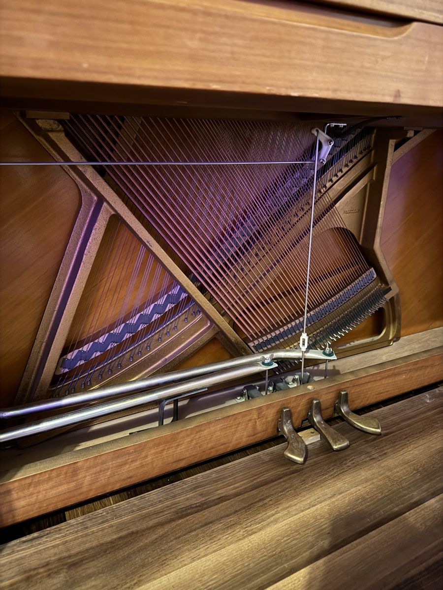 Strumenti musicali: Yamaha Klavier – Usato da Zürich venduto da smog 2