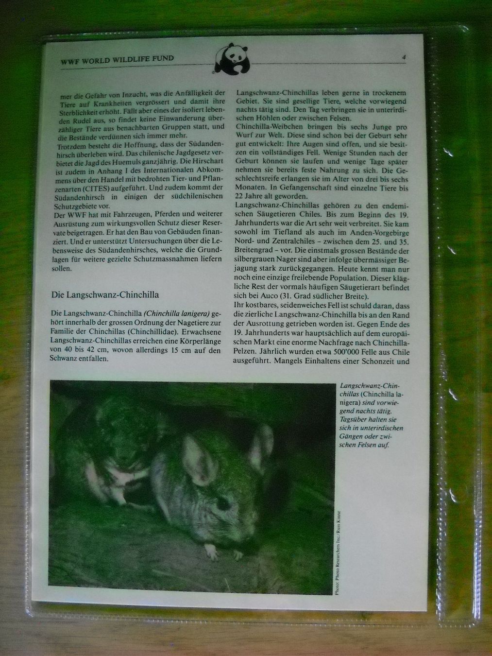 Tutti i francobolli: WWF Bedrohte Tierarten Chiles Dokument mit Briefmarken – Nuovo (secondo la descrizione) da Boningen venduto da FrediP 3