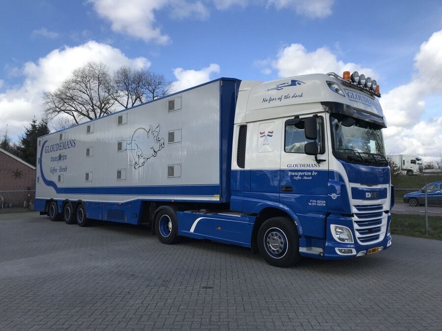 WSI Models Kit di modellismo & Modellini statici: 1:50 WSI DAF XF SSC "Gloudemans" – Nuovo e nell'imballaggio originale da Affoltern am Albis venduto da Modellshop-8910 2