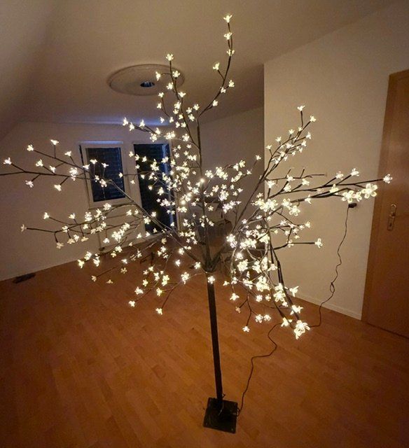Alle Dekorationen: LED Lichtbaum – Gebraucht aus Birmenstorf AG von Birmy 1